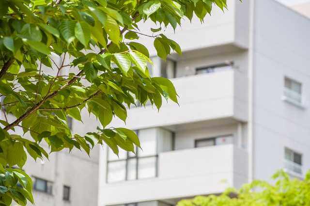 管理 会社 マンション